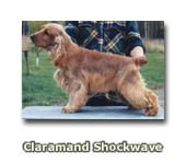 Claramand Shockwave